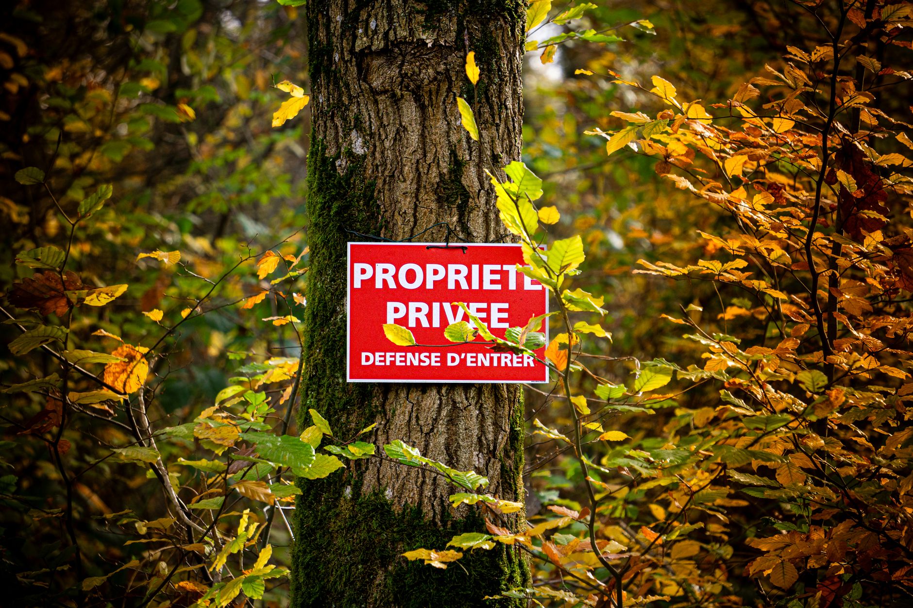 Détective privé à Fort-de-France